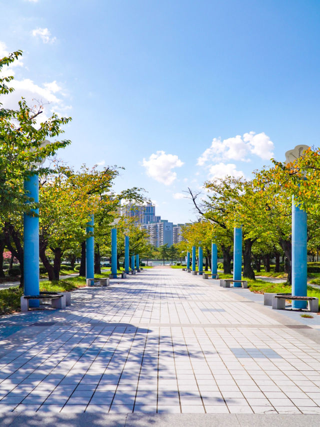 부산의 수영강변과 바다가 만나는 APEC 나루공원🌿