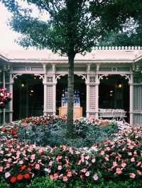 ✨ Spring time Magic at Disneyland Paris 🌸🏰