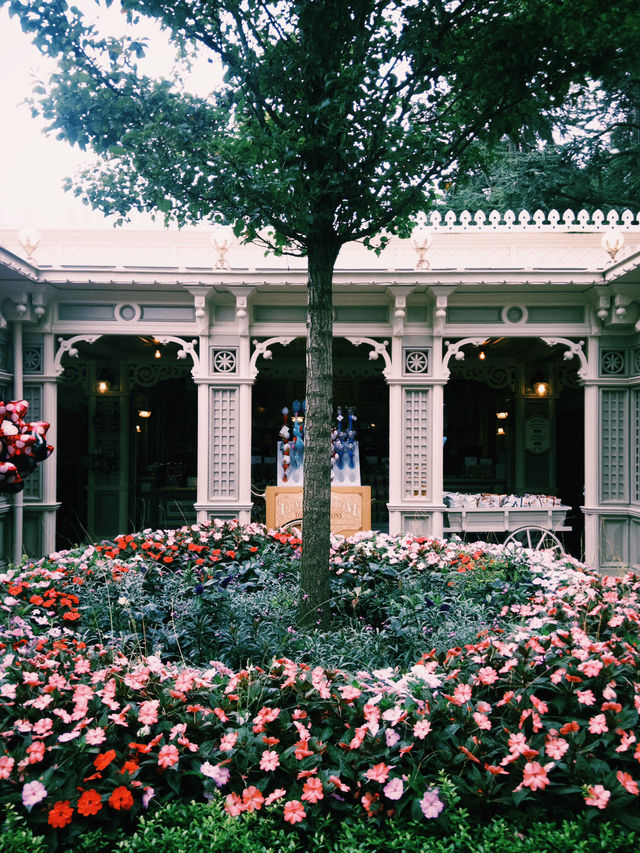 ✨ Spring time Magic at Disneyland Paris 🌸🏰