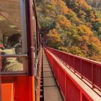 【富山県】黒部峡谷鉄道と〇〇〇ケーキ🙊
