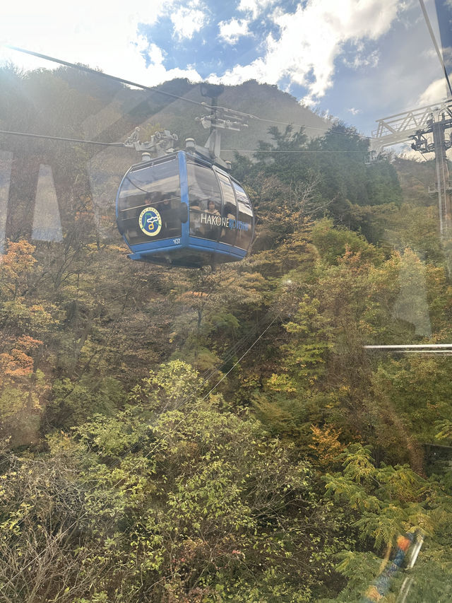 🏞️ エクシブ箱根離宮 – 贅沢な癒しの空間で心からリラックス