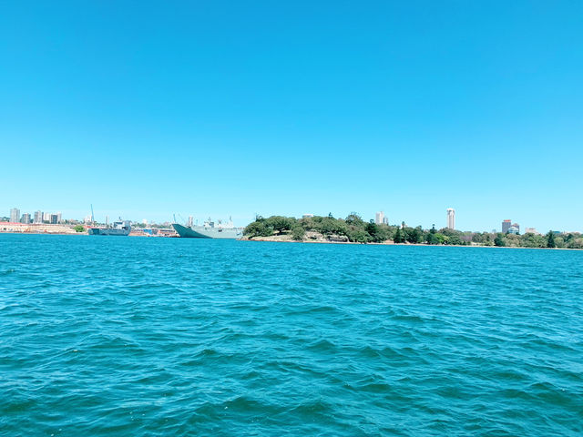 Sailing to the Wild Side