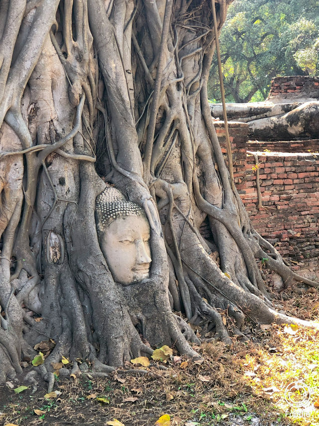 タイ4日間の旅🇹🇭