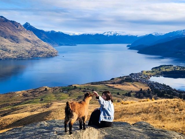 🐑🇳🇿5 Years in New Zealand — A Chapter I'll Never Forget🥹