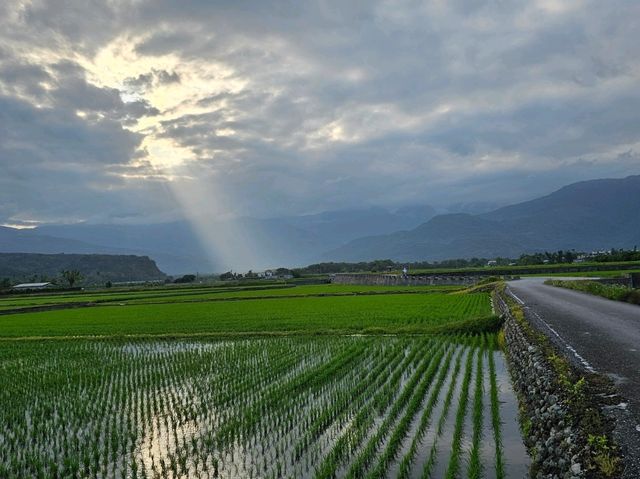 三月瑞穗柚香，漫步果園的春日芬芳
