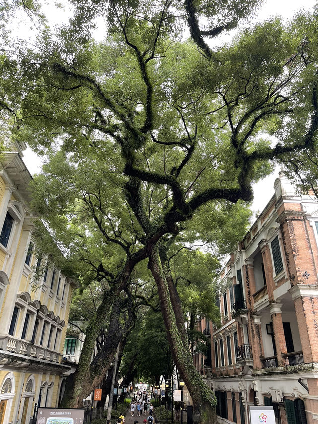 The Unexpected Island In GuangZhou