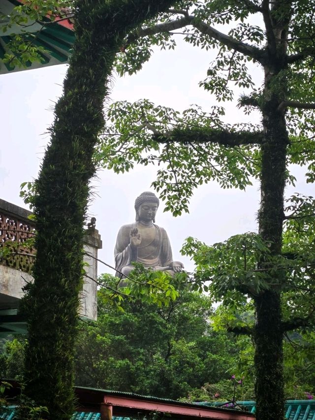 大嶼山天壇大佛遊覽打卡⛰️