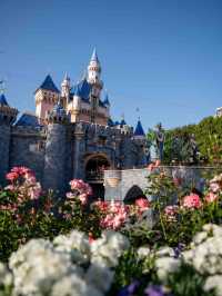 【夢の国の中心✨】カリフォルニアディズニー「ファンタジーランド」🏰🌟
