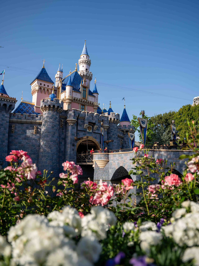 【夢の国の中心✨】カリフォルニアディズニー「ファンタジーランド」🏰🌟