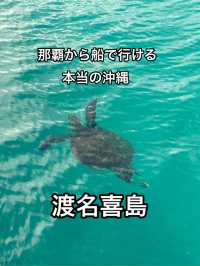 全国86島行った中でも間違いなくいい沖縄【渡名喜島】