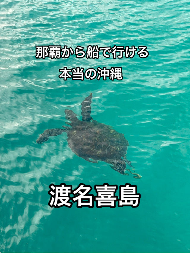全国86島行った中でも間違いなくいい沖縄【渡名喜島】
