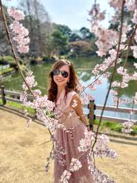 Tokyo Spring vibes unlocked 🌸
