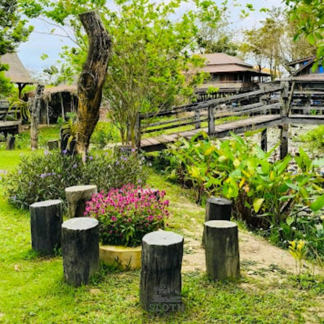 🧉 วิวทุ่งนาเขียวขจีที่ ระเบียงกาแฟ