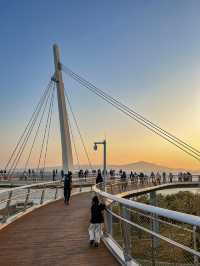Xiamen’s Best Free Spots 🌊🌿 | Hidden Gems & Chill Vibes