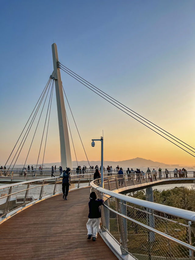 Xiamen’s Best Free Spots 🌊🌿 | Hidden Gems & Chill Vibes