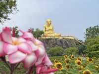 ชมดอกทานตะวัน ไหว้รูปเหมือนหลวงพ่อหมุน ตำบลพญาขัน