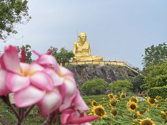 ชมดอกทานตะวัน ไหว้รูปเหมือนหลวงพ่อหมุน ตำบลพญาขัน