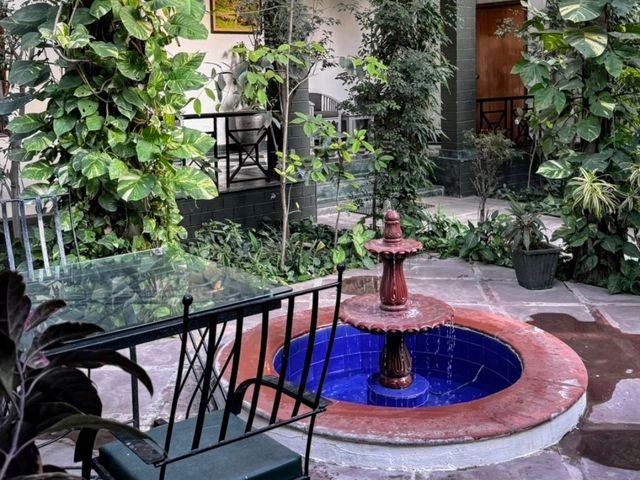 到野生動物保育區看老虎！住這兒就對了 Hotel Ranthambore Regency