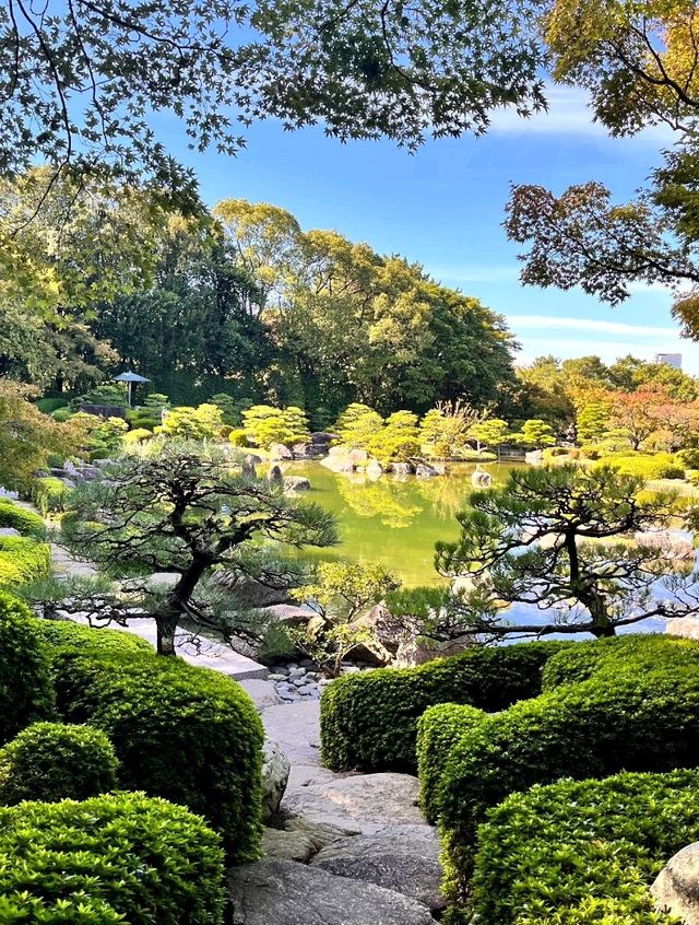 🌿 후쿠오카 오호리공원 속 숨은 명소, 일본정원 🌸