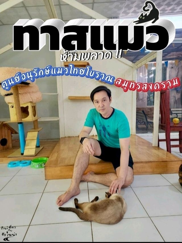 😽😻ศูนย์อนุรักษ์แมวไทยโบราณ😺😸