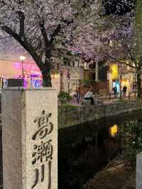 高瀨川櫻花運河，京都賞夜櫻的好去處！