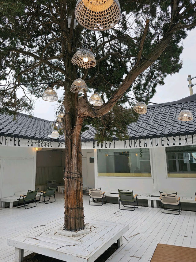 🏡용인 대형 한옥카페  고매커피