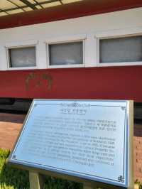 여기가 한국맞아?이국적 감성 청도 벚꽃스팟