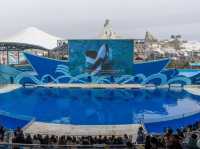 สวนสนุกโลกใต้ทะเล Shanghai Haichang Ocean Park