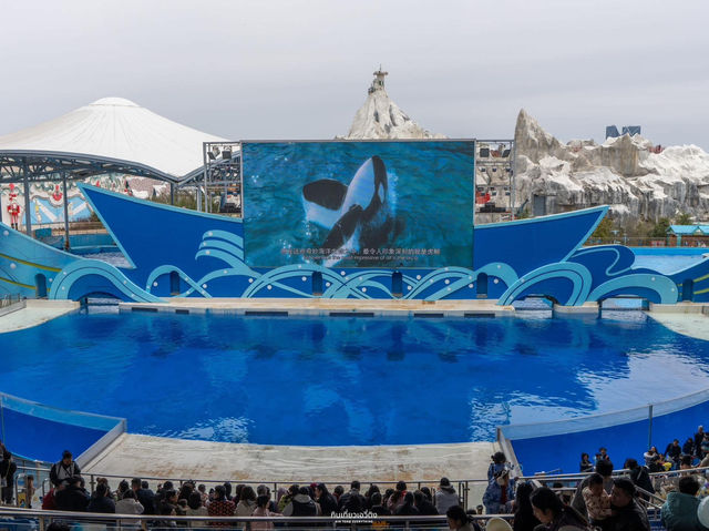 สวนสนุกโลกใต้ทะเล Shanghai Haichang Ocean Park