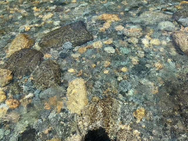岐阜県板取川で自然の美しさとおいしい食を楽しむ旅🌊🍴