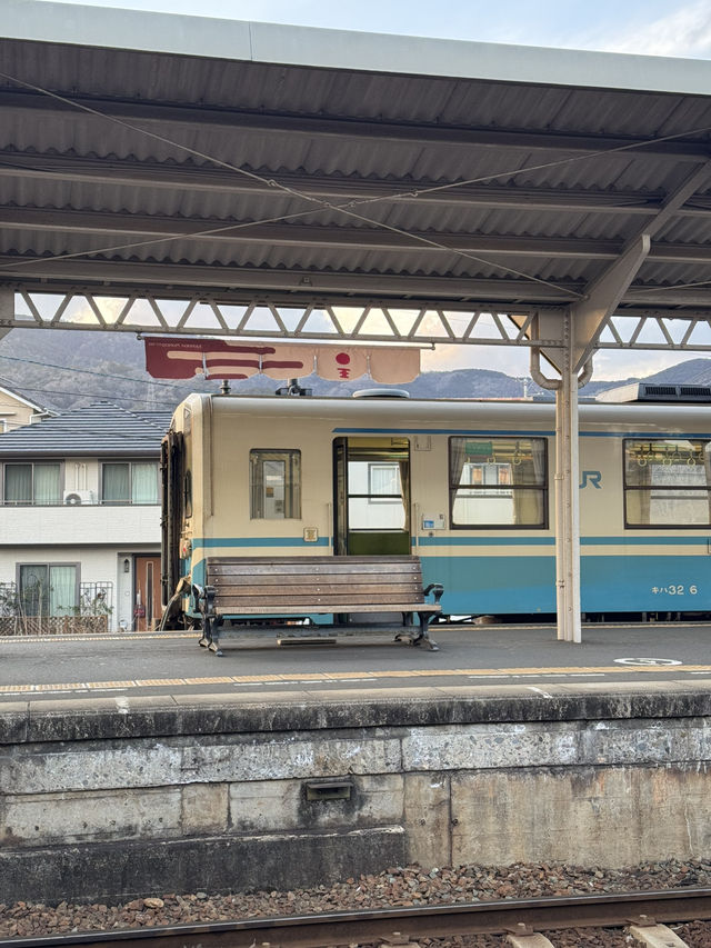 레트로 감성의 숨은 명소 이요오즈역 🚉 마쓰야마 근교 여행