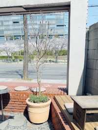 국내여행 카페 추천