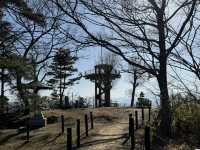 🇯🇵 城山公園✨松本必去可以看到阿爾卑斯山脈的打卡位✨
