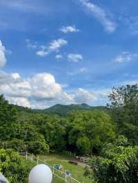 ร้านกาแฟในป่า บ้านไร่ใบเฟิร์น⛰️