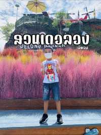 สวนเดอลอง พัทลุง ที่เที่ยวครบเครื่องสำหรับครอบครัว