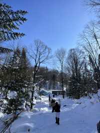 1st Snow in Harbin 2025