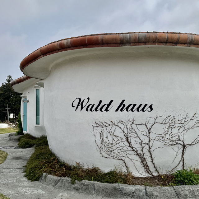 제주도 이색 가성숙소 발트하우스 
