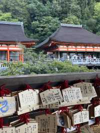 京都5間氣氛好、能量強的神社！感覺有點不一樣吧～