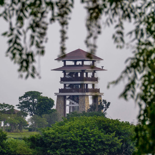 萬頃沙濕地公園（Wuyuanwan Wetland Park / Wanqingsha Wetland Park） 