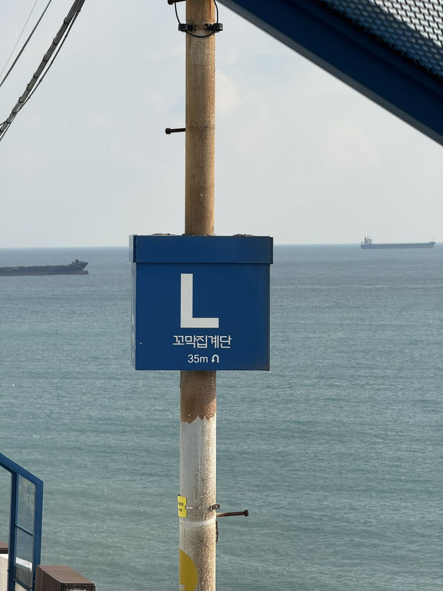 감성 가득 부산 1박 2일 여행☕🌊