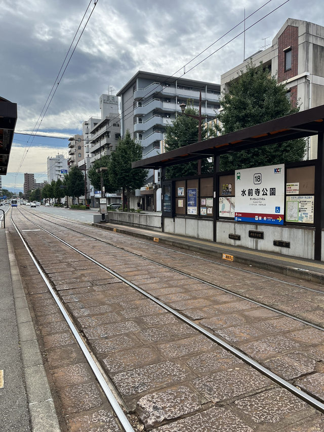 熊本一日遊🇯🇵熊本城+水前寺成趣園