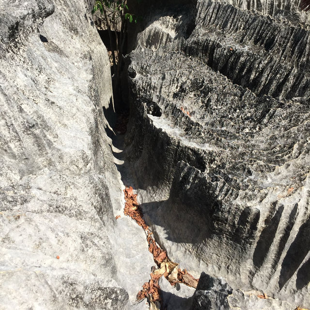 走進另一個世界｜Tsingy De Bemaraha National Park
