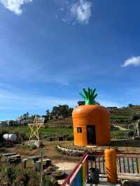 A Village Full of Peace