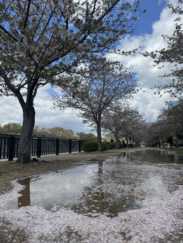 超靚😍🌸 大阪櫻花公園遊樂場 🌸 