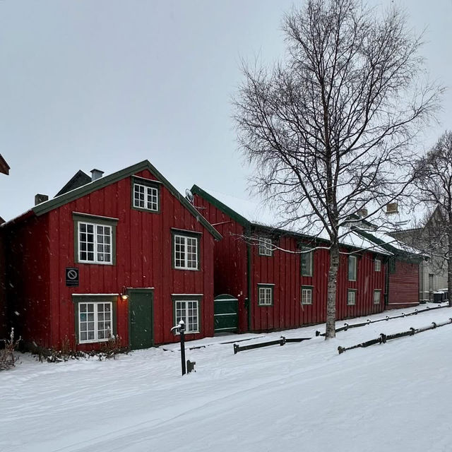 5-Day Tromsø in Norway Itinerary