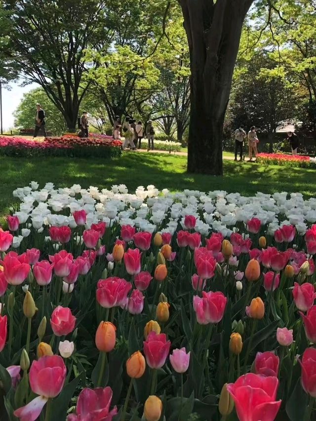 進入了童話世界般的絶世公園