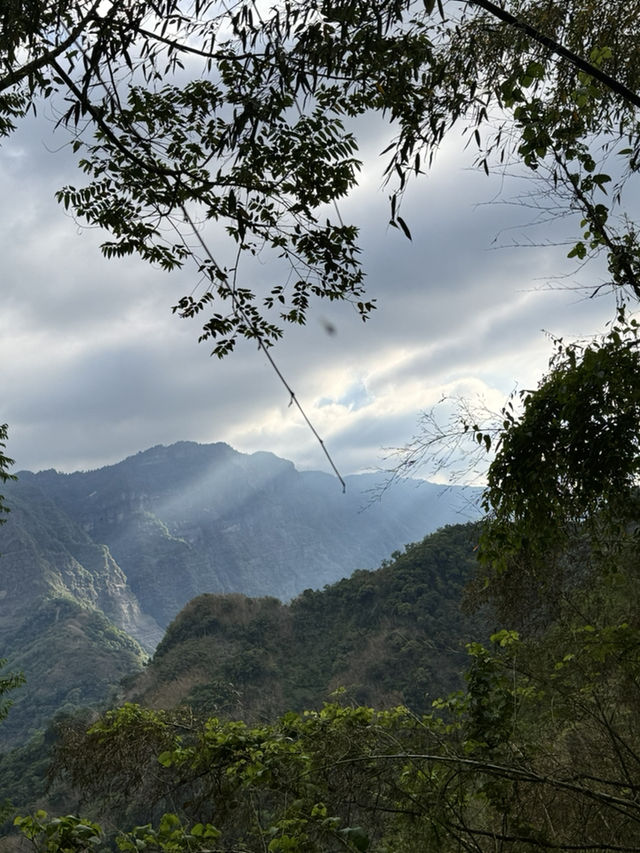 走讀阿里山林道鐵路的百年風華～奮起湖站到十字路站