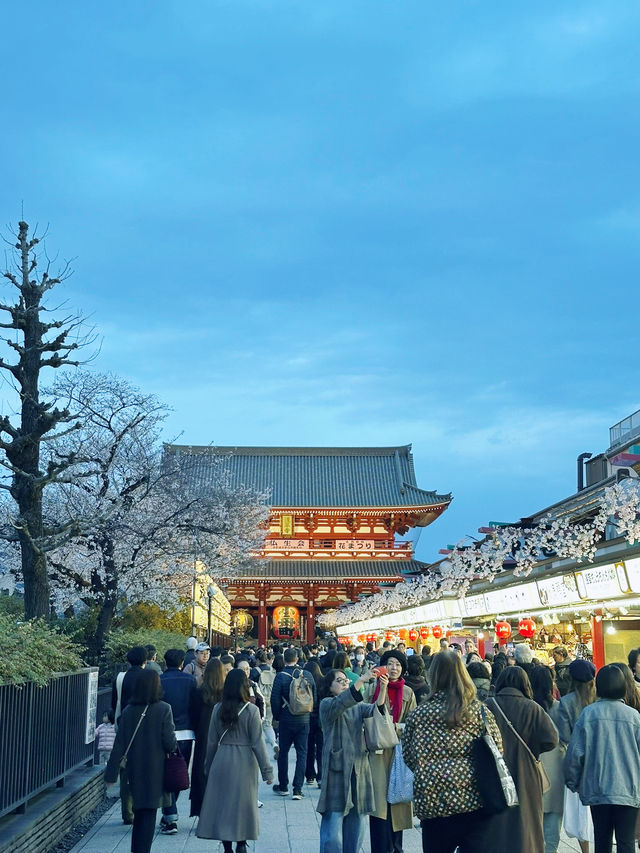 A Day in Asakusa, Tokyo