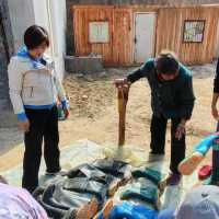 推薦甘泉大峽谷的鳳妹子精品民宿 