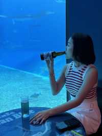  Okinawa Churaumi Aquarium 